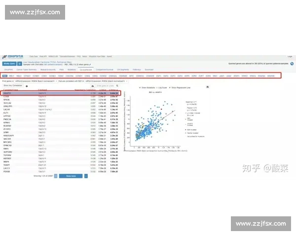 赛果查询平台实时比分数据统计分析与预测服务指南全面专业版介绍 - 副本 - 副本 - 副本 (3)
